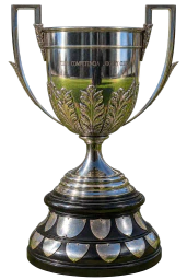 Copa Campeonato
