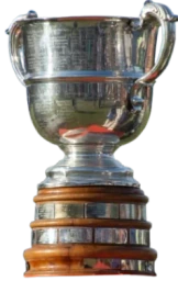 Copa de la República