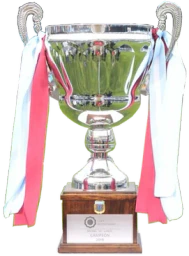 Copa del Bicentenario